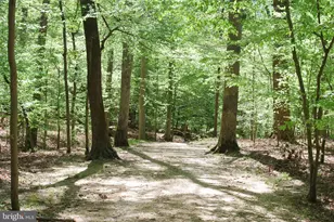 Parcel 45 Bryan Point Rd, Accokeek, MD 20607 - Photo 1