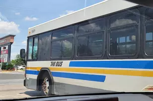 3835 Hamilton St, Hyattsville, MD 20781 - Photo 26