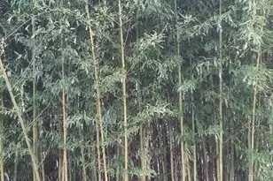 8349 Founders Woods Way, Fort Washington, MD 20744 - Photo 24