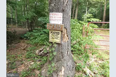 Croom Road, Brandywine, MD 20613 - Photo 4