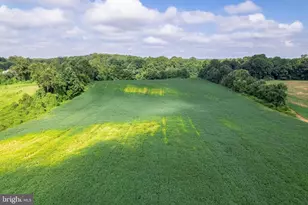 17308 Queen Anne Bridge Rd, Bowie, MD 20716 - Photo 16