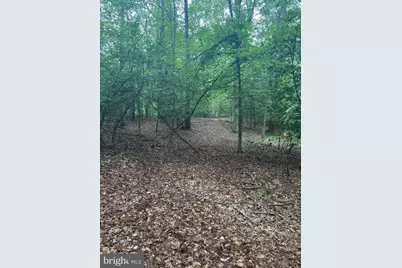 16661 Bald Eagle School Road, Brandywine, MD 20613 - Photo 4