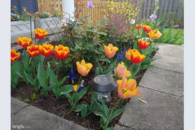 7906 Esther Drive, Oxon Hill, MD 20745 - Photo 62