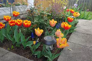 7906 Esther Dr, Oxon Hill, MD 20745 - Photo 62