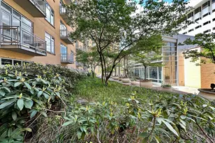 6506 America Blvd, Hyattsville, MD 20782 - Photo 12