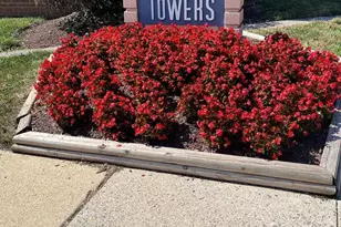 3801 St Barnabas Rd, Suitland, MD 20746 - Photo 1