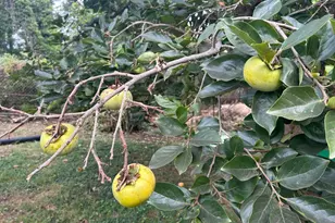 8127 Murray Hill Dr, Fort Washington, MD 20744 - Photo 42