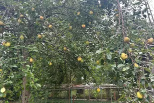 8127 Murray Hill Dr, Fort Washington, MD 20744 - Photo 40