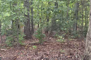 [Address not provided], Temple Hills, MD 20748 - Photo 4