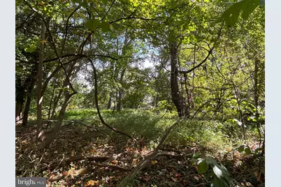 10807 Riverview Road, Fort Washington, MD 20744 - Photo 4