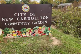 8501 Sprague, New Carrollton, MD 20784 - Photo 44