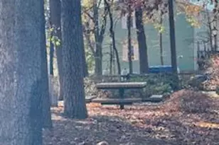 7333 Morrison Dr, Greenbelt, MD 20770 - Photo 26