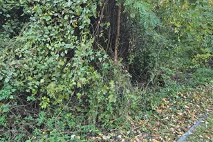 8824 Old Laurel Bowie Rd, Bowie, MD 20720 - Photo 1