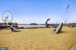 10610 Cedarwood Ln, Fort Washington, MD 20744 - Photo 66