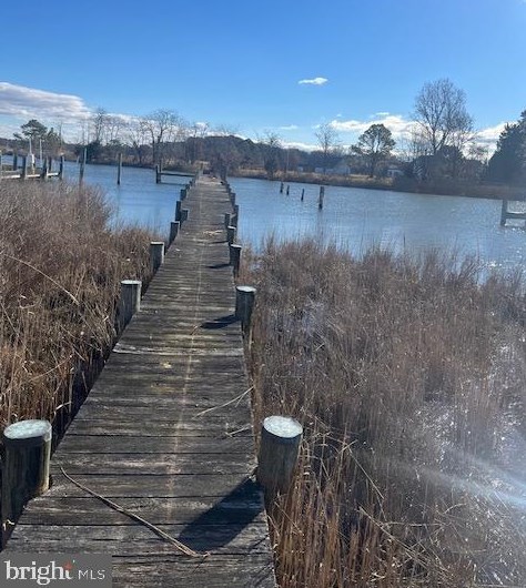 1007 Dominion Rd, Chester, MD 21619