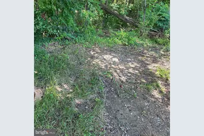 Lot 7 Maple Drive #LOT 7, Stevensville, MD 21666 - Photo 8