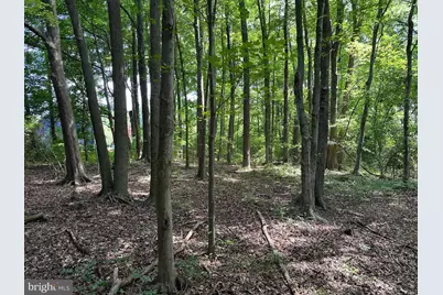 Lot 7 Maple Drive #LOT 7, Stevensville, MD 21666 - Photo 2
