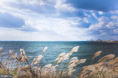 108 Wall Street, Queenstown, MD 21658 - Photo 28