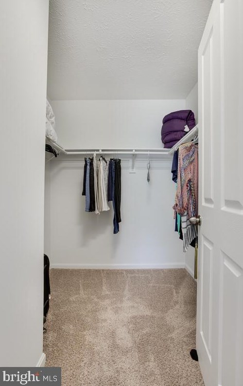 21309 Essex Dr, Lex Pk MD  20653-4120 exterior