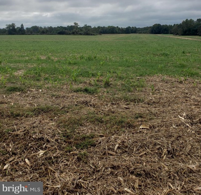 44505 Blake Creek Rd, Leonardtown, MD 20650-7007
