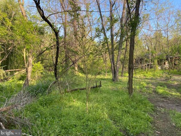 24229 Scanlon Gertrude Way, Clements, MD 20624