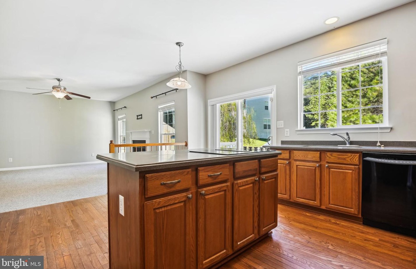 21347 Birdseye Ct, Lex Pk MD  20653-6555 exterior