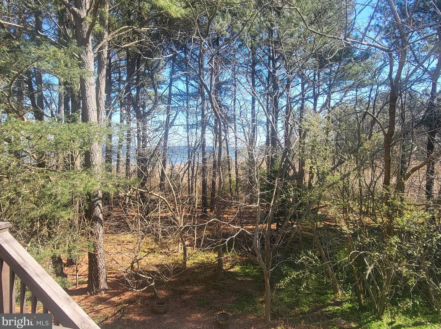 48395 Sunburst Dr, Lex Pk MD  20653-4588 exterior