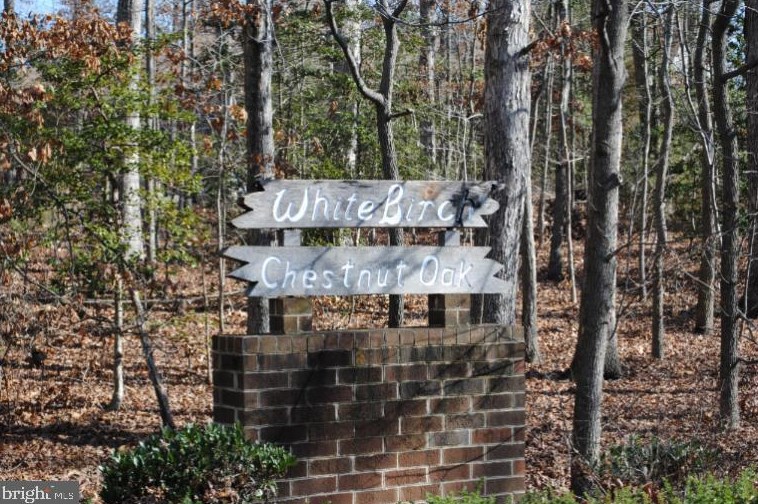 23243 White Birch Ct, California MD 20619-2028 exterior