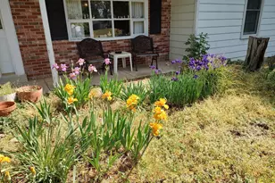 38310 Pleasant View Dr, Charlotte Hall, MD 20622 - Photo 6