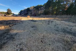 49993 Airedele Rd, Ridge, MD 20680 - Photo 24