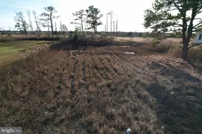 Parcel 724 Calvary Road, Crisfield, MD 21817 - Photo 6