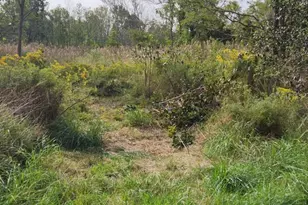 0 Riley Roberts Rd, Deal Island, MD 21821 - Photo 1