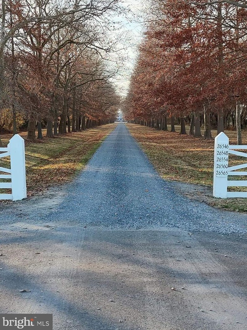 26560 Presquile Dr, Easton MD  21601 exterior