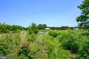 24977 Back Creek Dr, Saint Michaels, MD 21663 - Photo 66