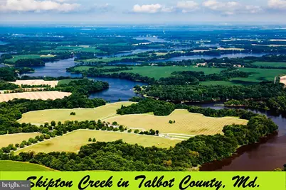 11778 Old Skipton Road, Cordova, MD 21625 - Photo 40