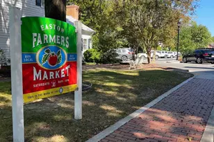 718 Wayside Ave, Easton, MD 21601 - Photo 42