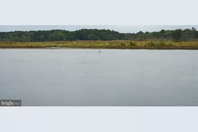 9059 High Banks Drive, Easton, MD 21601 - Photo 14