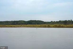 9059 High Banks Dr, Easton, MD 21601 - Photo 14