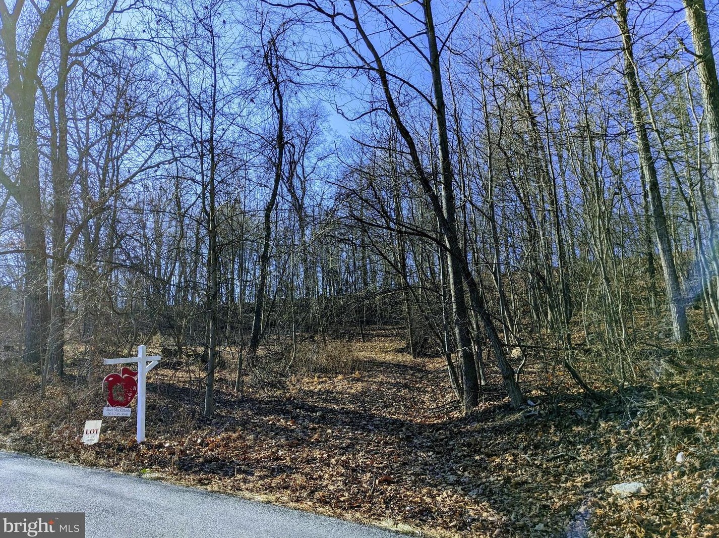 Lot 1 Trego Mountain Rd, Keedysville, MD 21756