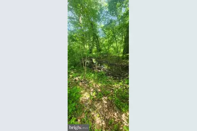 15920 River Bend Court, Williamsport, MD 21795 - Photo 32