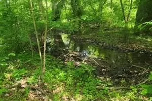 15920 River Bend Ct, Williamsport, MD 21795 - Photo 32