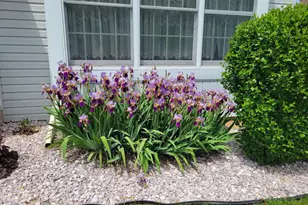 10730 Hershey Dr, Williamsport, MD 21795 - Photo 48