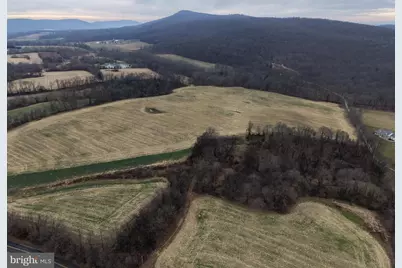 3940 Trego Road, Keedysville, MD 21756 - Photo 8