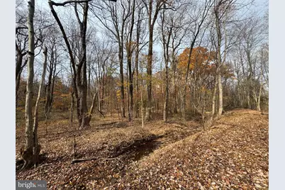 3940 Trego Road, Keedysville, MD 21756 - Photo 60