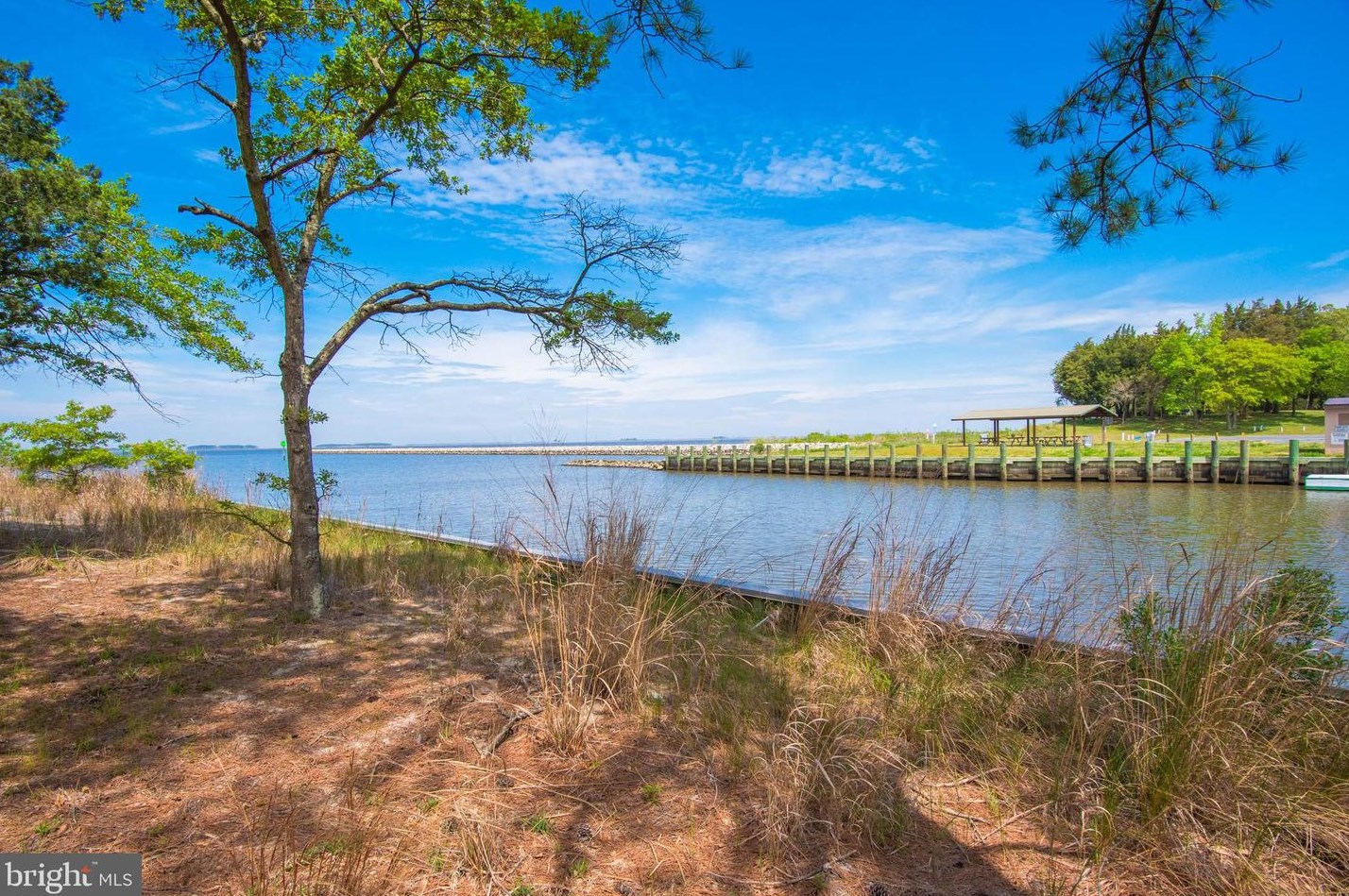 20919 Cedar Hill Pkwy, Bivalve MD  21814-2042 exterior