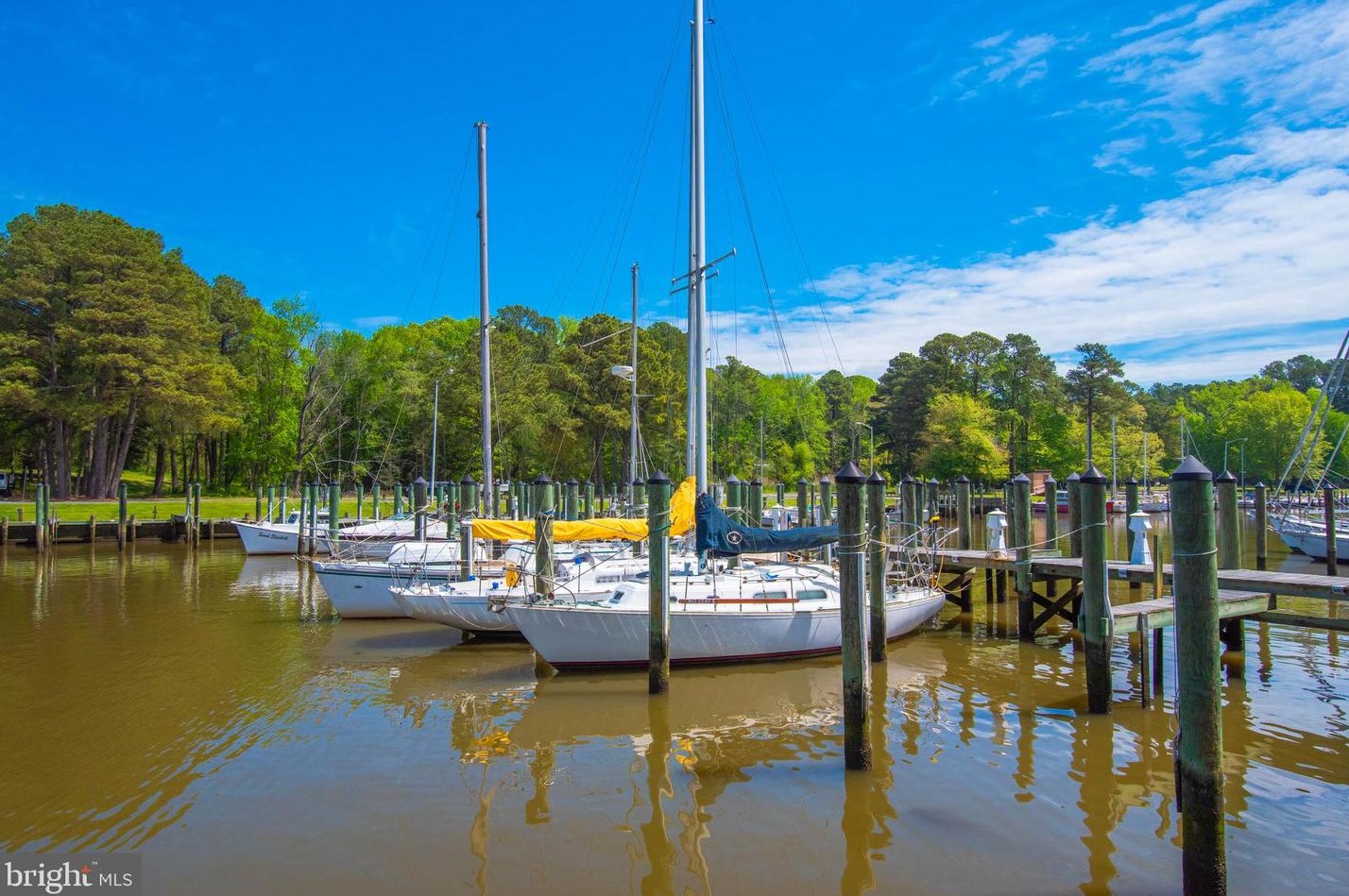 20919 Cedar Hill Pkwy, Bivalve MD  21814-2042 exterior