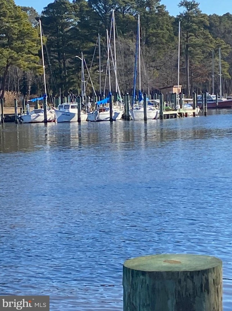 20919 Cedar Hill Pkwy, Bivalve MD  21814-2042 exterior