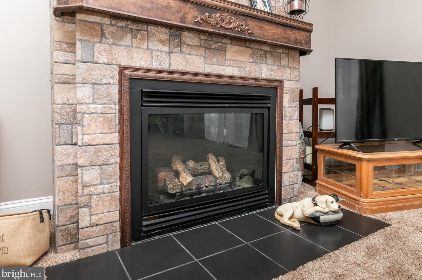 127 Nina Ln, Fruitland MD 21826-1900 exterior