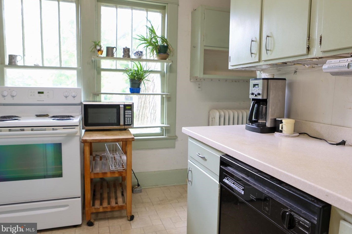 209 Main St, Fruitland MD 21826-1658 exterior