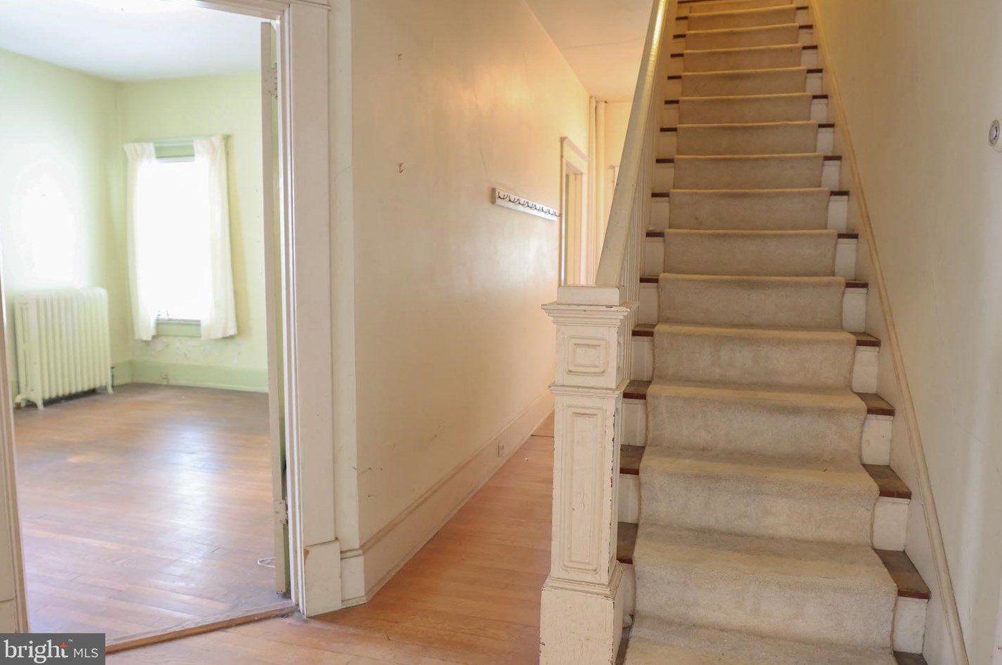 209 Main St, Fruitland MD 21826-1658 exterior